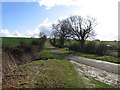 Towards Bisbrooke