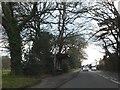 Bus shelter between Wyke and Aldershot