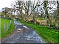 Track to Tarf Bridge