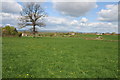 Farmland at Gossington