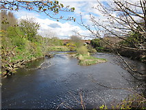 NX1898 : River Girvan by Billy McCrorie