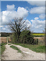 Footpath across East Valley