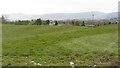 Undulating ground near Thornhill (Perthshire)