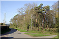 The lane to Dallicott, Shropshire