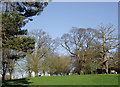 Pasture near Chyknell Hall, Shropshire