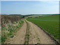 SY8297 : Farmland Track by Lorraine and Keith Bowdler