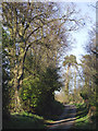 The lane to Claverley, Shropshire