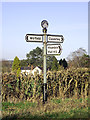 SO7894 : Roadsign near Hopstone, Shropshire by Roger  D Kidd