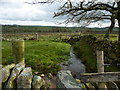 Stream, stile and dry stone walls