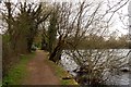 Path around Neigh Bridge Lake