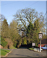 The road to Upper Ludstone, Shropshire