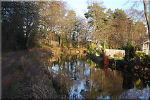 SU8153 : Basingstoke Canal - Fleet by N Chadwick
