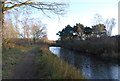 Basingstoke Canal