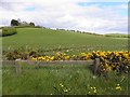 Ballyboley Townland