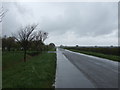 Road heading west towards Bassingham