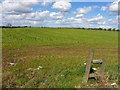 Killaghy Townland