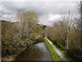 Montgomery Canal north of Abermule