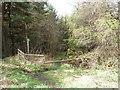 Public footpath on a woodland track