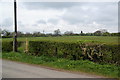 Footpath across the fields