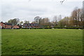 Sheep field in front of Pear Tree Farm