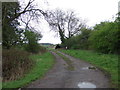 Farm track off Butts Lane