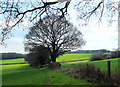 2012 : Farmland east of Coalpit Heath