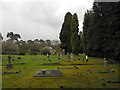 Saint Mary, Shackleford: churchyard (i)