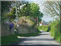 Footpath crossing a country lane