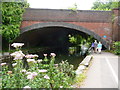 Salisbury - Footpath And Bridge