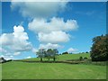 Farm access lane off the A1(Dromore Road)