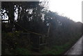 Footpath, Nettlecombe