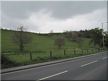 ST4938 : Wearyall Hill by Bill Nicholls