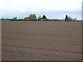 Farmland towards The Clays