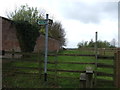 Footpath towards Barnby in the Willows