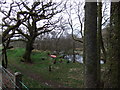 Haweswater Beck