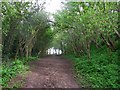 Once a cutting on the Nottingham Suburban Railway