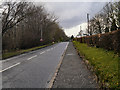 Balmaha Road Approaching Buchanan Smithy