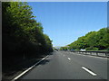 The A31 westbound, footbridge