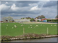 Marston Hall Farm from the Trent & Mersey Canal