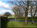 Road towards Cornwood, near the entrance to The Oaks, near Lee Mill