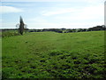 Farmland near Great Houghton