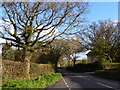 Looking south from Fardel Bridge, near Cornwood