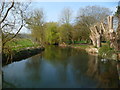 Salisbury - River Avon