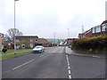 Greenlea Road - viewed from Greenlea Avenue