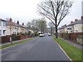 Westfield Avenue - viewed from Greenlea Road