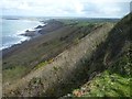 SX1799 : Coastline near Bynorth Cliff by Maurice D Budden