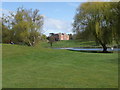 Landscape at Brocket Hall