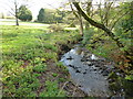 Stream in the grounds of Delamore House, Cornwood