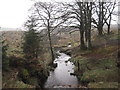 Sleet Beck from Craiggyford Bridge