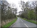 Lane in the Browney Valley